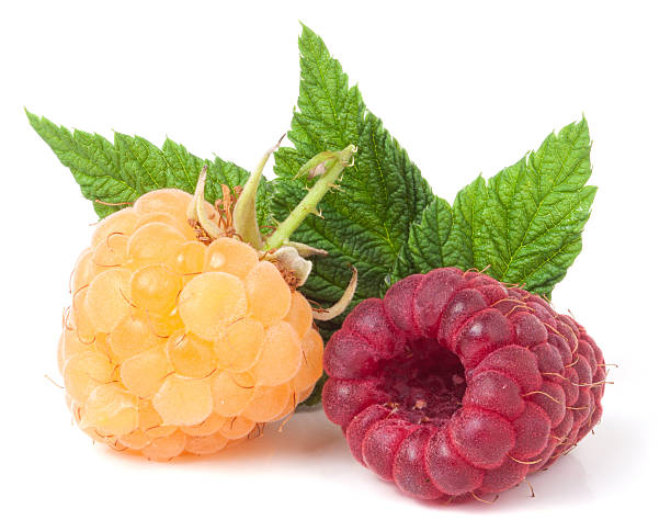 istock red and yellow raspberries with leaves on a white background 580108806