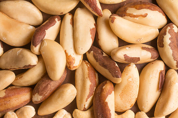 almond, cashew and para castanha heart shaped - chestnut food nut fruit imagens e fotografias de stock