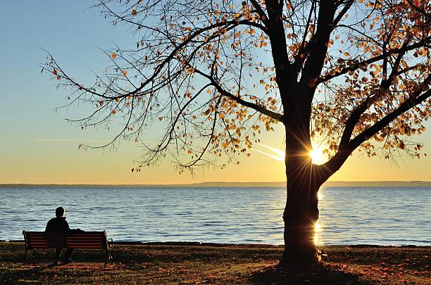 man watching the sunrise over lake in the late fall - contemplation silhouette tree men imagens e fotografias de stock