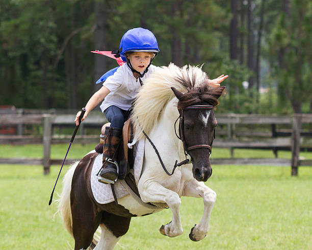 Fly like a Butterfly Young girl jumping over jump with her pony no hands and wearing butterfly wings. horse jumping front stock pictures, royalty-free photos & images