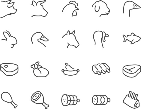 Simple Set of Meat Related Vector Line Icons. Contains such Icons as Pork, Beef, Goose, Rabbit, Duck, Horse, Turkey, Fish and more. Editable Stroke. 48x48 Pixel Perfect.