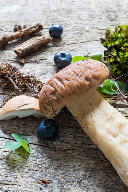 istock Mushroom Boletus over Rustic Wooden Background 580119398