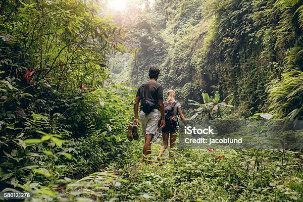 Young Couple Walking Through Woods Stock Photo - Download Image Now - Rainforest, Couple - Relationship, Hiking