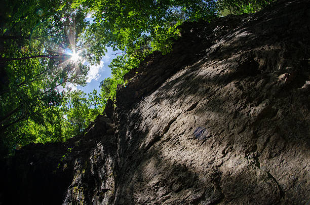 Looking up toward the sun, a fisheye view of a cliff, the forest and sun above at Maquoketa Caves State Park, Iowa