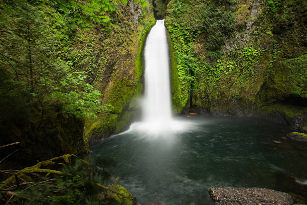 istock The one and only, Wahclella Falls 580121848