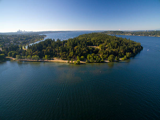 seward park, półwysep bailey, seattle aerial lake washington summer sunny - lake washington zdjęcia i obrazy z banku zdjęć