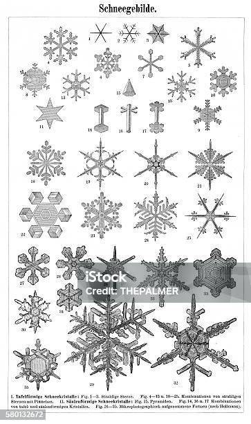 Snowflakes 1895 Stock Illustration - Download Image Now - Snowflake Shape, Engraved Image, Engraving