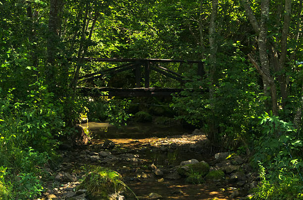 istock Small wooden bridge in a shadow at river Uvac gorge 580132954