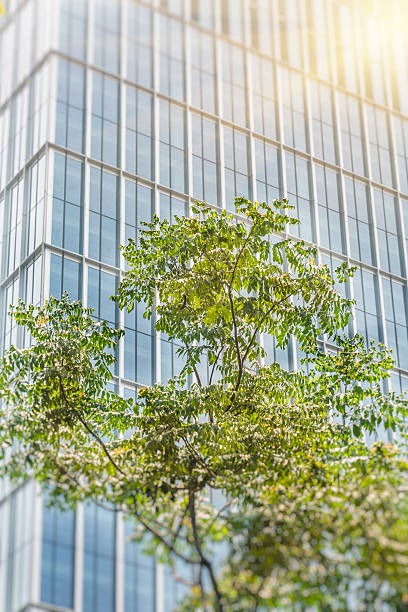 istock green trees front of modern office building 580133290