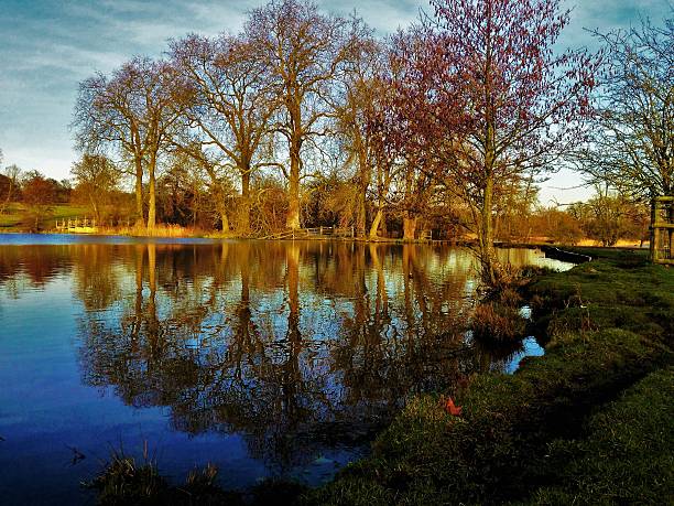 istock Reflection of trees on a lake 580133972