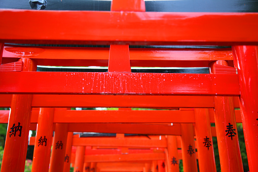Tokyo, Japan - Apr 24, 2016: Red Gateways are standing in a row at the entrance of the Nedu Shrine, Bunkyo-ku district in Tokyo.