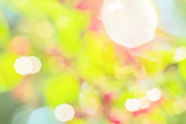 istock Multicolored blurred abstract background of a summer garden 580135044