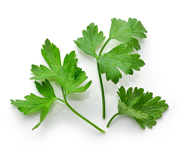 istock fresh green parsley leaves 580136826