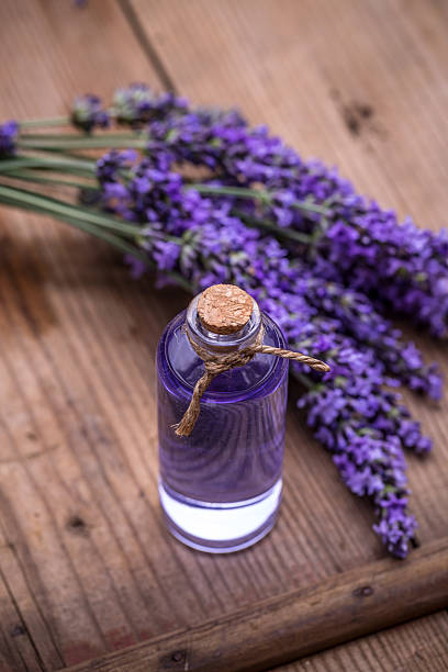 lavanda concetto di spa - merchandise spa treatment botanical spa treatment exfoliation foto e immagini stock