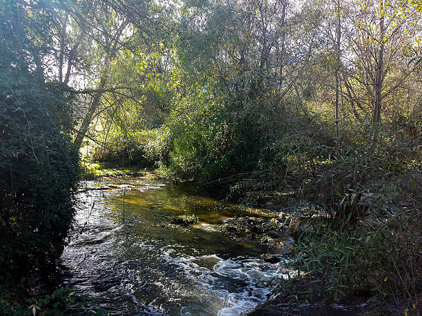istock Guadarrama river between vegetation passing through Galapagar, M 582258068
