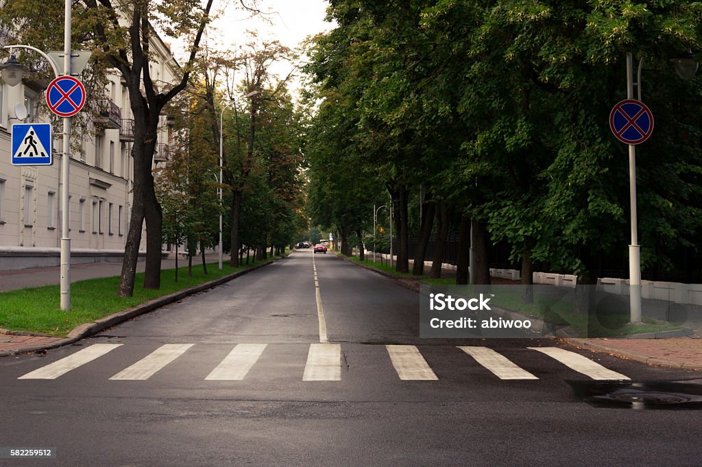 crosswalk and city street with alone car crosswalk and city street with alone car on sunset. Green trees on sides Crosswalk Stock Photo