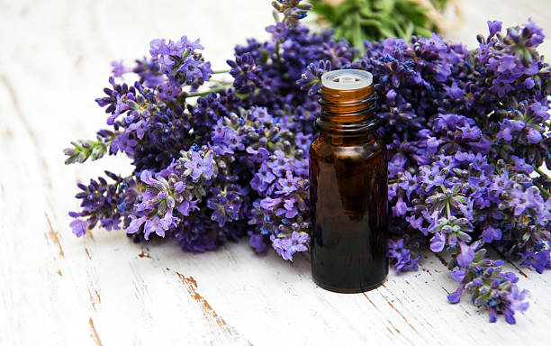 istock Lavender and massage oil 582259930