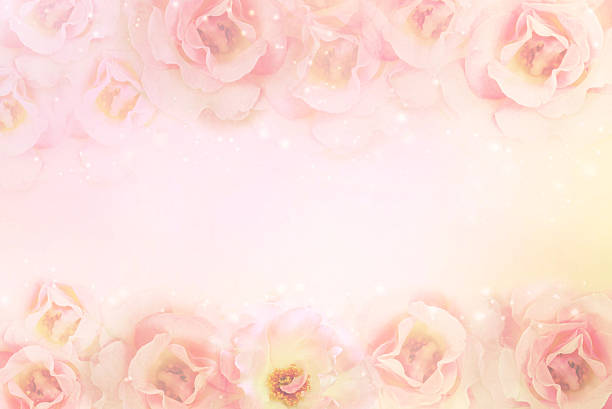 istock pink roses flower frame in vintage color 582260032