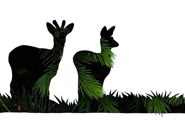 paper cut two deers over green fir