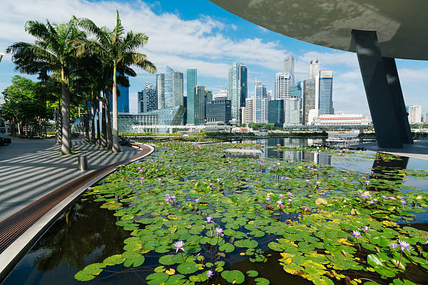 Singapore Skyline. Singapore, Singapore -April 7, 2014: Singapore Central Business district skyline view with a  blooming lily pond at the Art Science Museum building. park designer label stock pictures, royalty-free photos & images