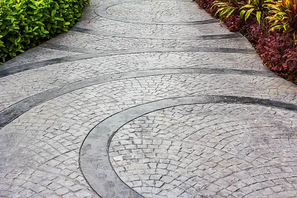 Photo of decorative plants at sidewalk