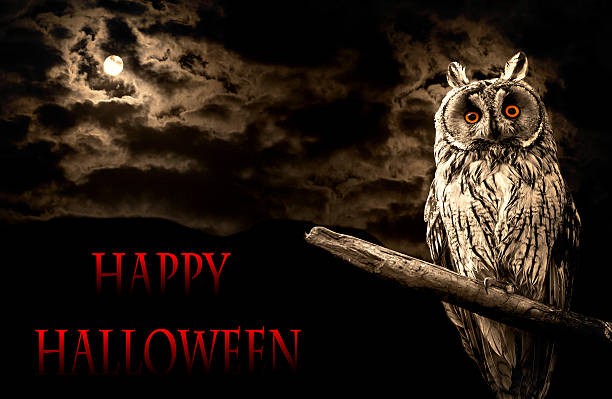 owl and full moon halloween abstract background