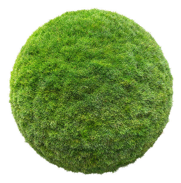 grass ball 3D illustration stock photo