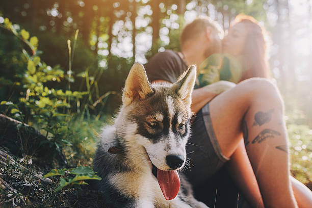 istock beautiful couple resting in the forest 582278042