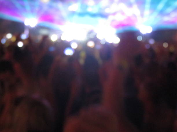 People at a rock concert
