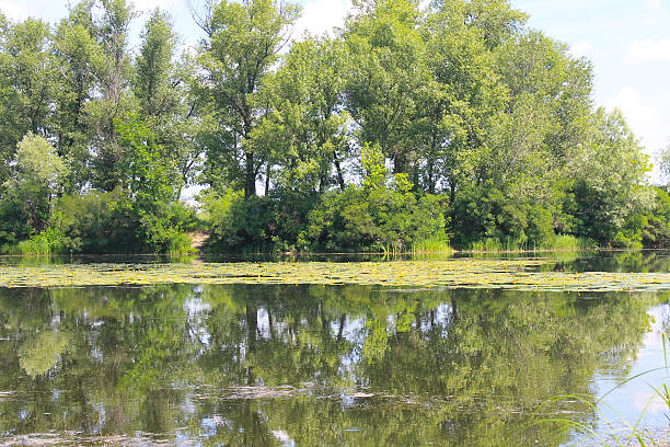 istock Beautiful lake on summer 582283734