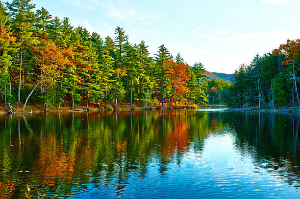istock Pond in White Mountain National Forest, New Hampshire 582284772