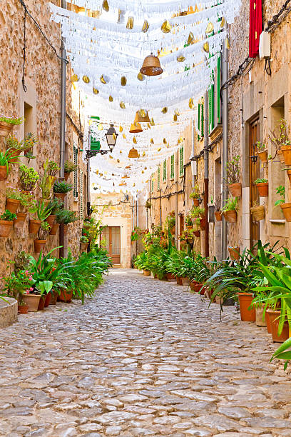 green lane in valldemossa, mallorca - valldemossa imagens e fotografias de stock