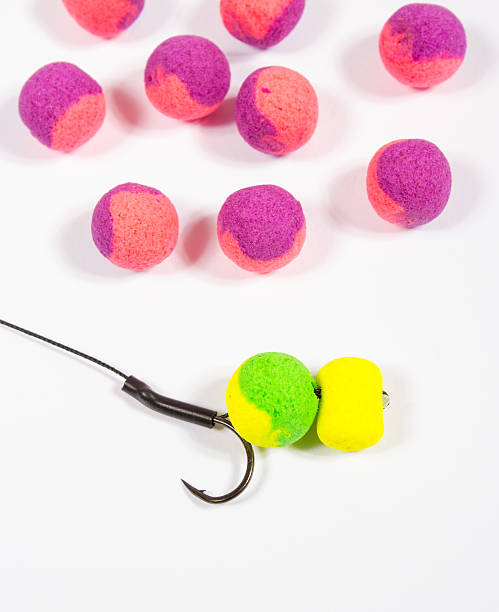 istock Carp Hook Boilies - Fishing Bait close up 582287100