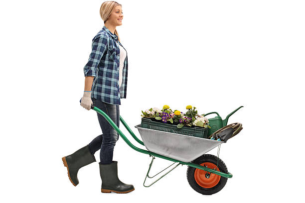 Cheerful blonde woman pushing a wheelbarrow with gardening equipment isolated on white background