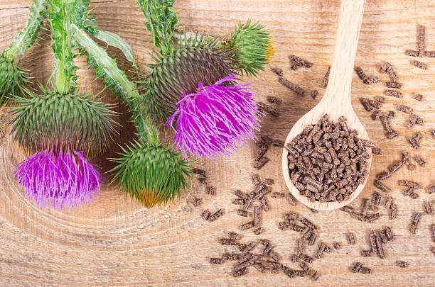 istock Granular and fresh thistle with flowers. (Silybum marianum) 582290566
