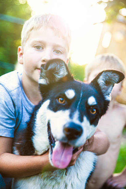 istock Boy with his dog best friend in sunset 582290900