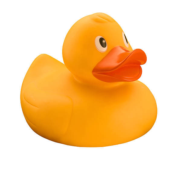 Rubber Duck stock photo