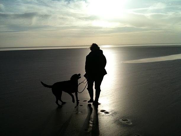 Walking the Dog A woman and her dog take a solitary stroll across a beach on the estuary known as the Carse Gut, near Carsethorn in Dumfriesshire.  mcdermp stock pictures, royalty-free photos & images