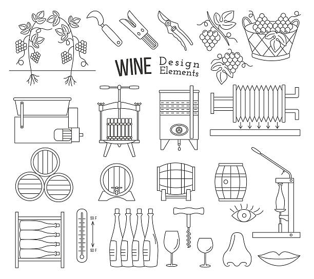 illustrazioni stock, clip art, cartoni animati e icone di tendenza di elementi di design per la vinificazione e la degustazione di vini - bottling plant winery wine industry