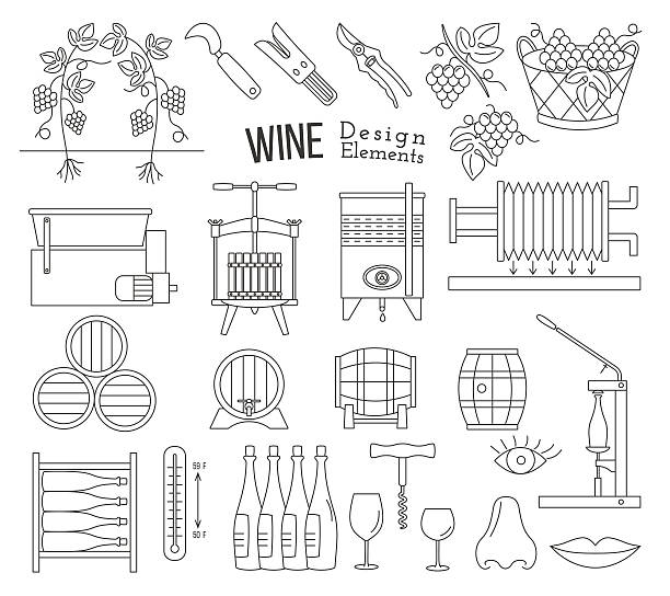 Wine making and wine tasting design elements Mega collection of wine making and wine tasting process design elements in modern mono thin line style isolated on white a background. Winery icons. Wine logos. Vector illustration. lips on wine glass stock illustrations