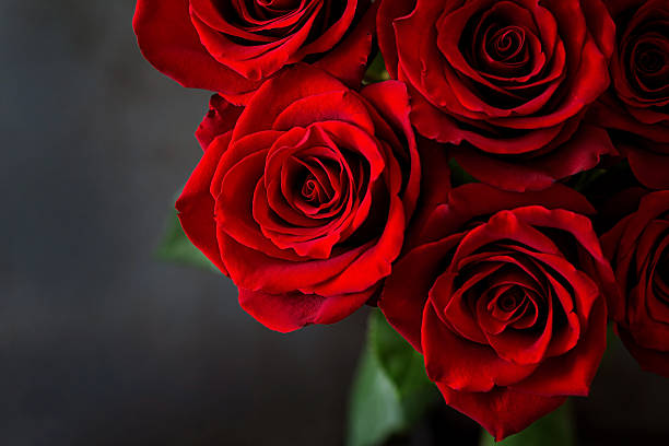 Bouquet of red roses on a black background. Top view stock photo