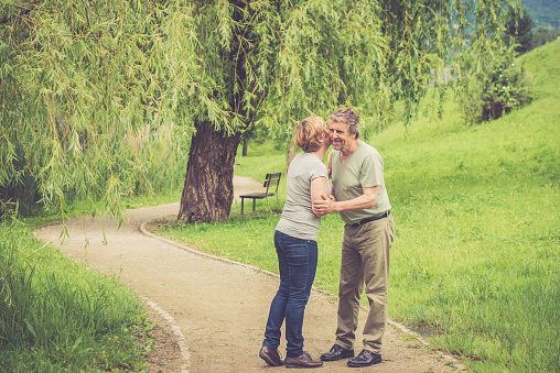 Senior caucasian couple walking outdoors in the city park;  Slovenia, Europe. All logos removed. Nikon D800, full frame, Nikkor 70.0-200.0 mm, aperture 2.8, Copy space.