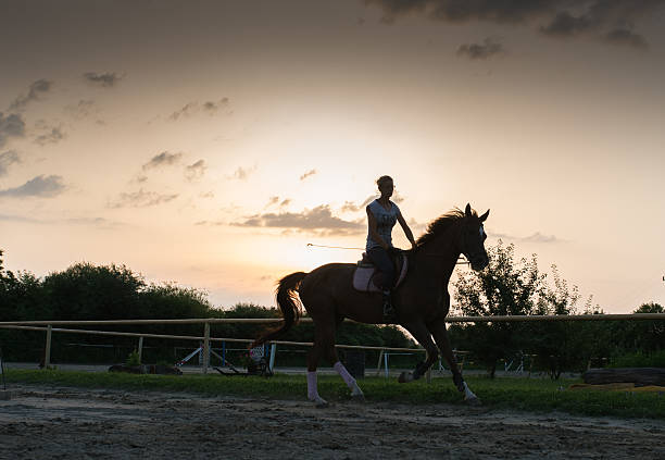 istock Young girl riding a horse 582299030