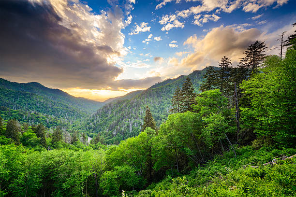 istock Newfound Gap in the Smoky Mountains 582299648