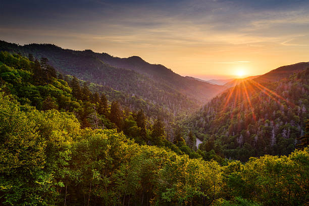 Newfound Gap in the Smoky Mountains Sunset at the Newfound Gap in the Great Smoky Mountains. great smoky mountains photos stock pictures, royalty-free photos & images