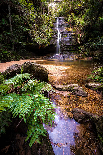 istock Waterfalls in Blue Mountains national park 582301296