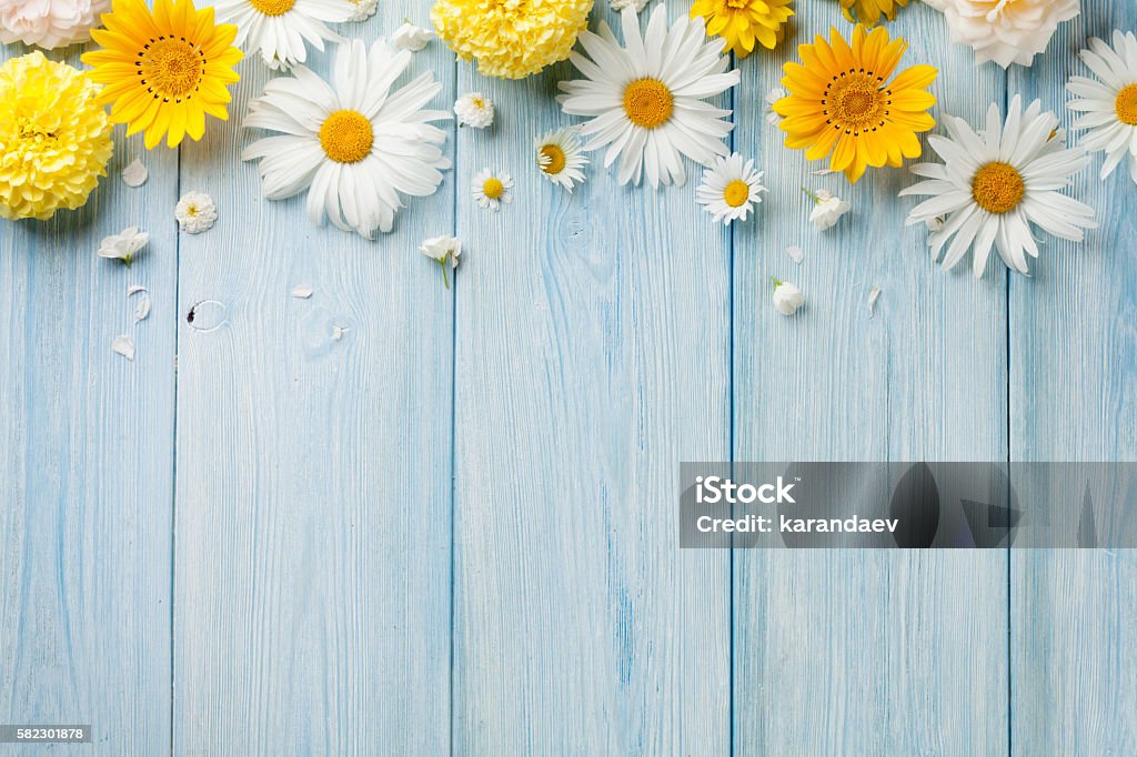 Fleurs de jardin sur bois - Photo de Fond libre de droits