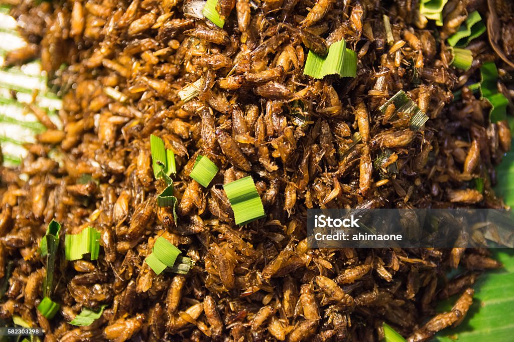 Fried insect food in thailand Asia Stock Photo
