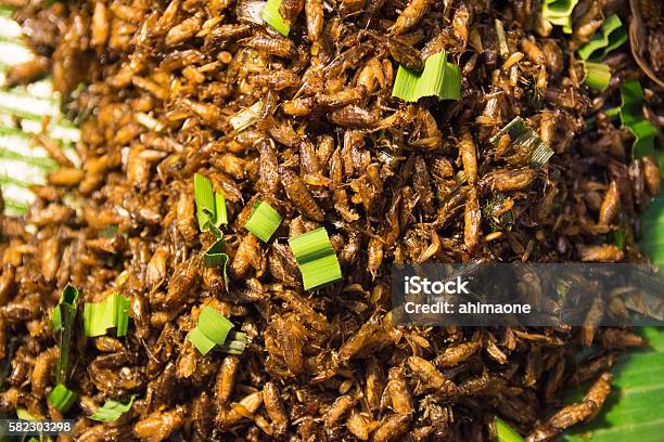 Fried Insect Food In Thailand Stock Photo - Download Image Now - Asia, Breakfast, Consumerism