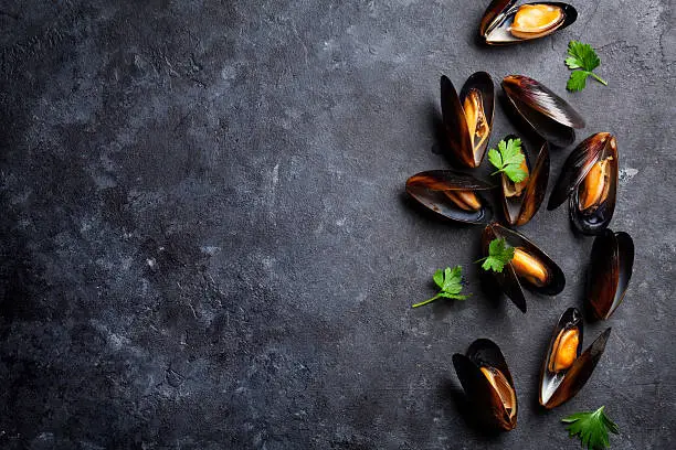 Mussels on stone table. Top view with copy space